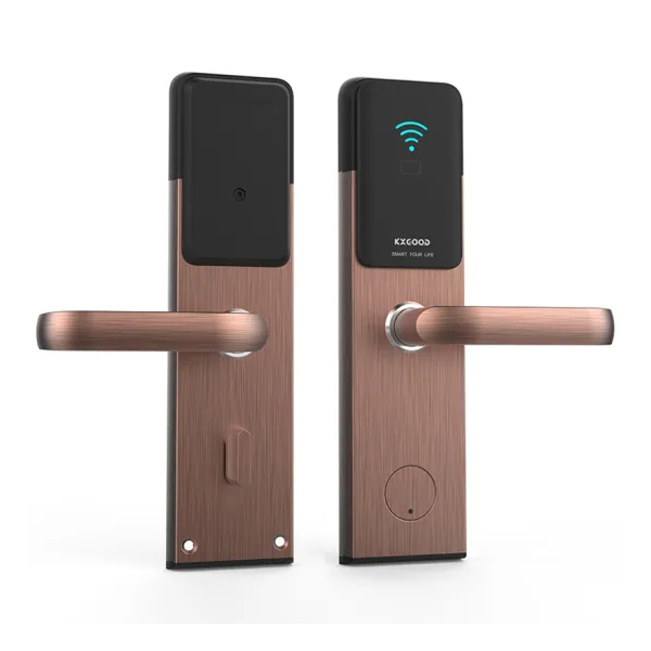 Feidhm an App Leictreach Baile Leictreach Tuya Wifi Smart Lock